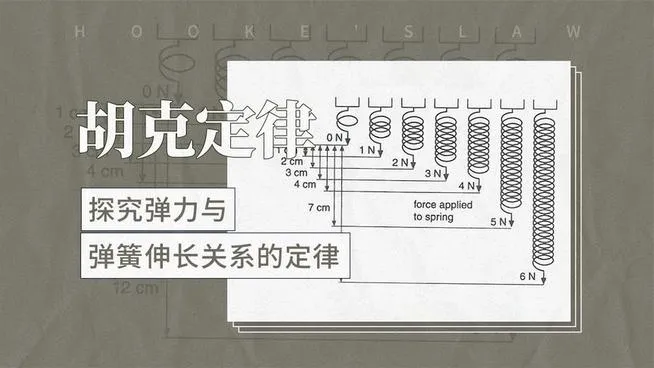 胡克定律是什么?对于金融交易员可以有哪些启发?