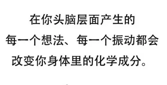 NotionNext 商业化思考:从开源建站工具到内容服务系统