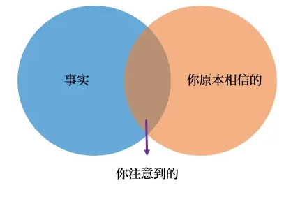 交易心智训练 (4) — 认知偏差之情感启发与确认偏差