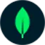 MongoDB Cloud